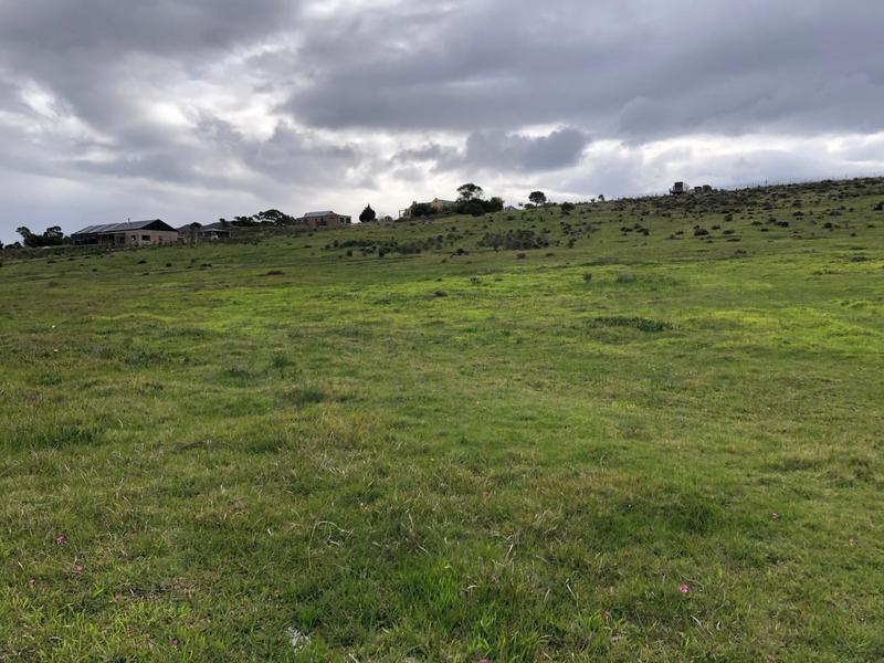 0 Bedroom Property for Sale in Baardskeerdersbos Western Cape